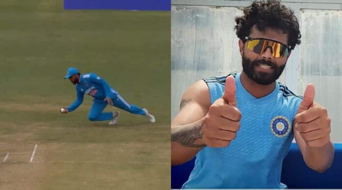 Virat Kohli and Ravindra Jadeja (2)