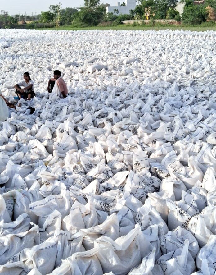 गांव डिडवाड़ा खरीद केंद्र पर लगे गेंहू के कट्‌टों के अंबार