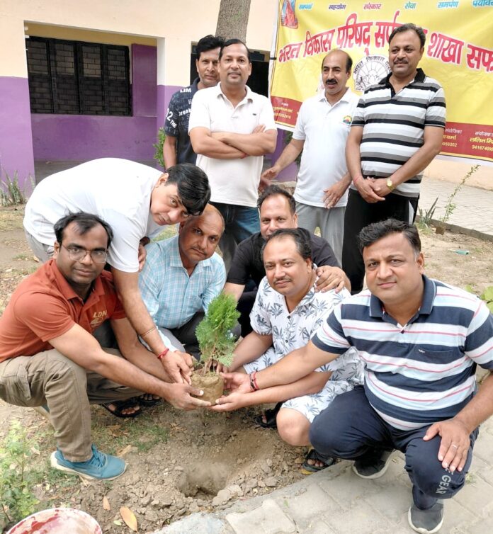 06SFDM2 पौधारोपण करते हुए अतिथि व संस्था के पदाधिकारीगण
