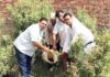 शिवभूमि सेवा समिति की पर्यावरण संरक्षण के प्रति बेहतरीन पहल पौधारोपण करते हुए अतिथिगण