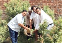 शिवभूमि सेवा समिति की पर्यावरण संरक्षण के प्रति बेहतरीन पहल पौधारोपण करते हुए अतिथिगण