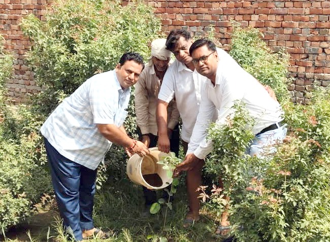 15SFDM5 पौधारोपण करते हुए अतिथिगण