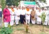 पाजू कलां गांव में पौधारोपण व सम्मान समारोह आयोजित पौधारोपण करते हुए अतिथिगण