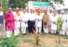 पाजू कलां गांव में पौधारोपण व सम्मान समारोह आयोजित पौधारोपण करते हुए अतिथिगण